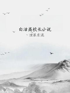 白洁高校长小说